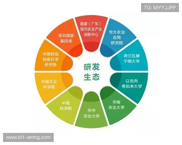 皇冠棋盘的现代创新设计与发展趋势,探讨传统与现代结合的创新路径 皇冠棋盘的现代创新设计与发展趋势,探讨传统与现代结合的创新路径