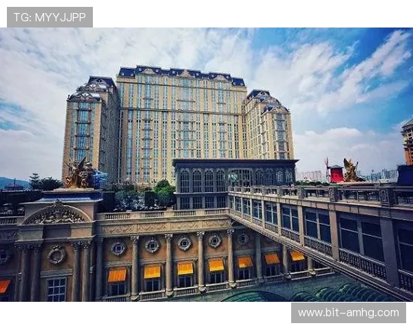 澳门巴黎人官网网址详尽介绍及最新入口导航指南