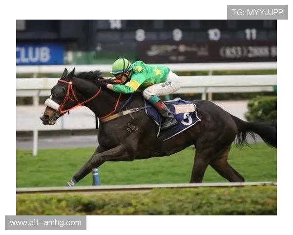 澳门赛马今天的精彩瞬间回顾与赛场花絮精彩集锦 澳门赛马今天的精彩瞬间回顾与赛场花絮精彩集锦