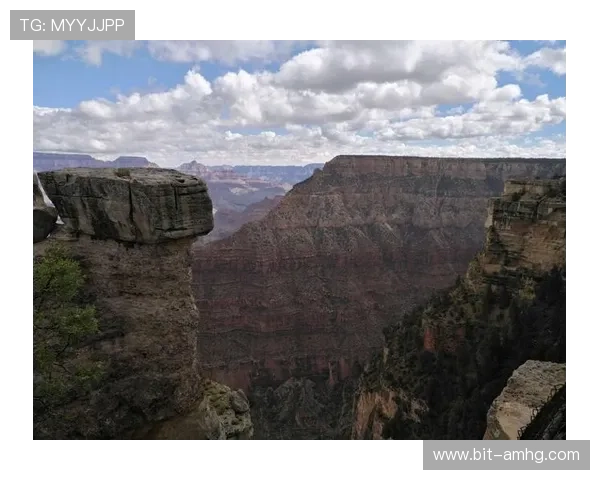 百利宫娱乐场全景介绍带你领略顶级娱乐体验的精彩之旅 百利宫娱乐场全景介绍带你领略顶级娱乐体验的精彩之旅